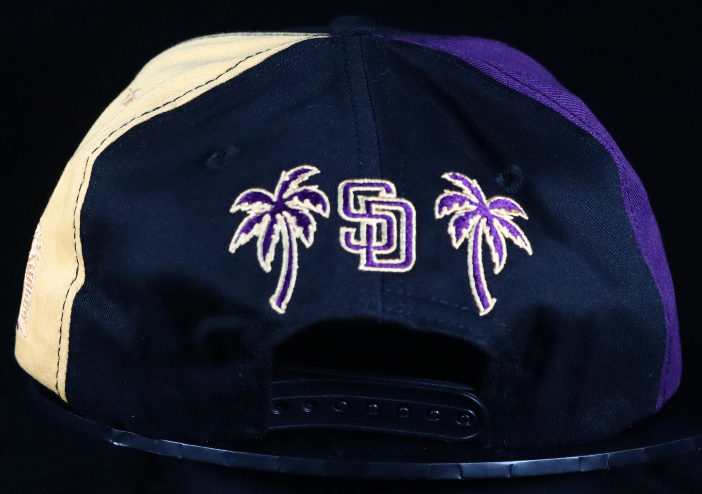 TSI "LAKER$" SNAPBACK